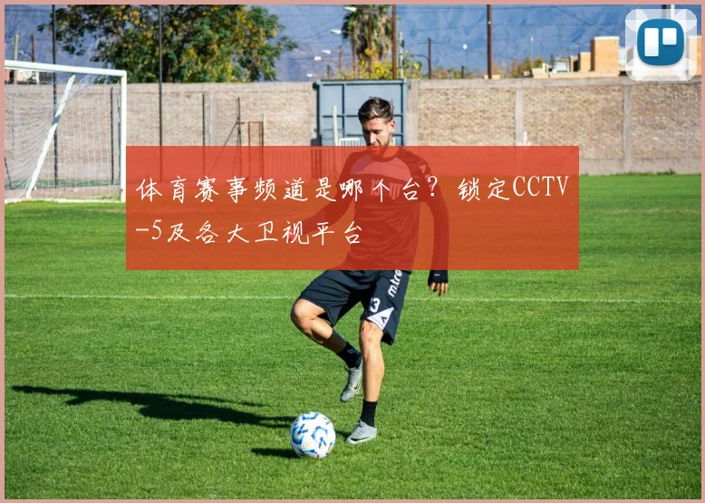 体育赛事频道是哪个台？锁定CCTV-5及各大卫视平台