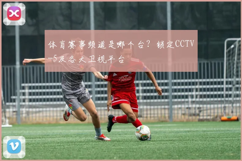 体育赛事频道是哪个台？锁定CCTV-5及各大卫视平台